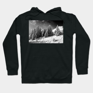 Courchevel 3 Valleys French Alps France Hoodie